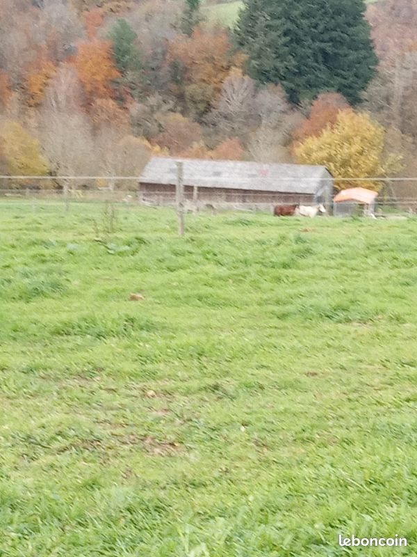 Maison à vendre, 130m², Sussac