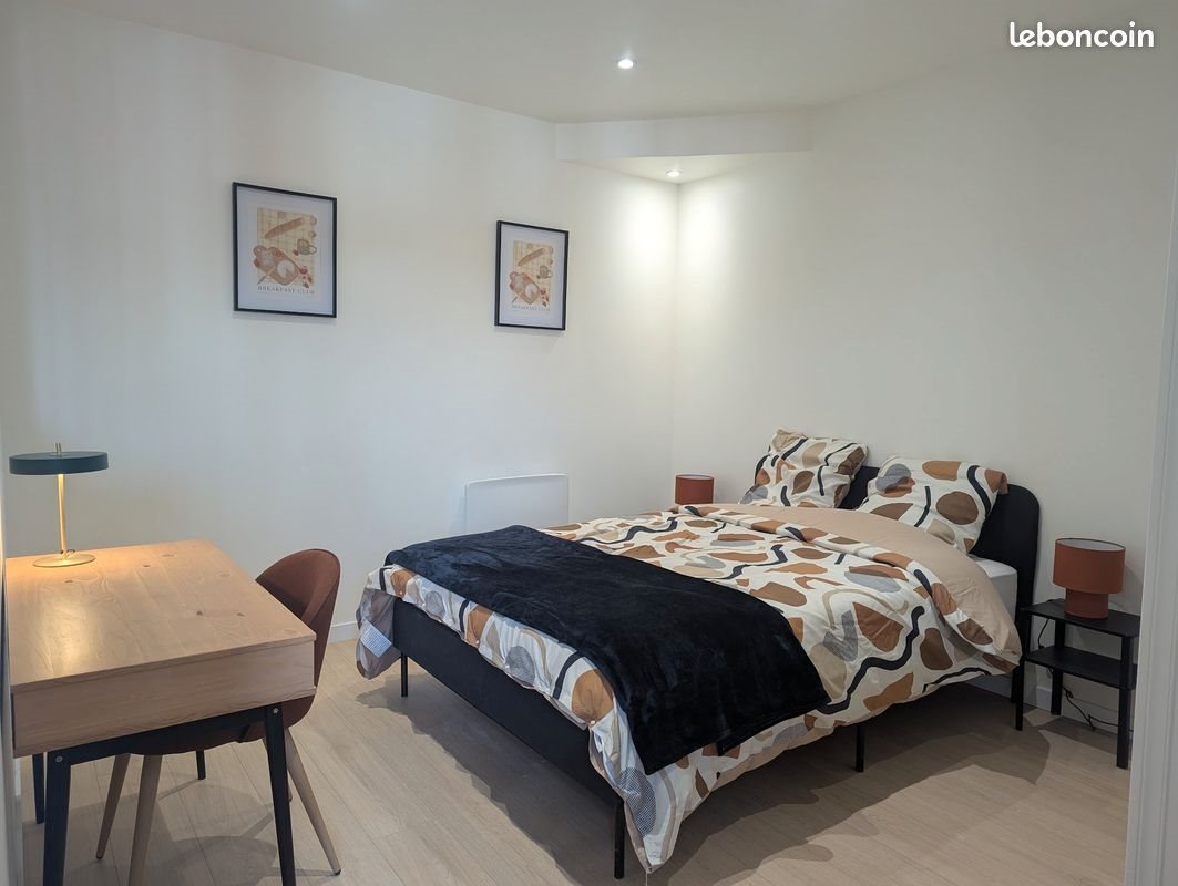 Appartement à louer, 50m², Saint-Etienne