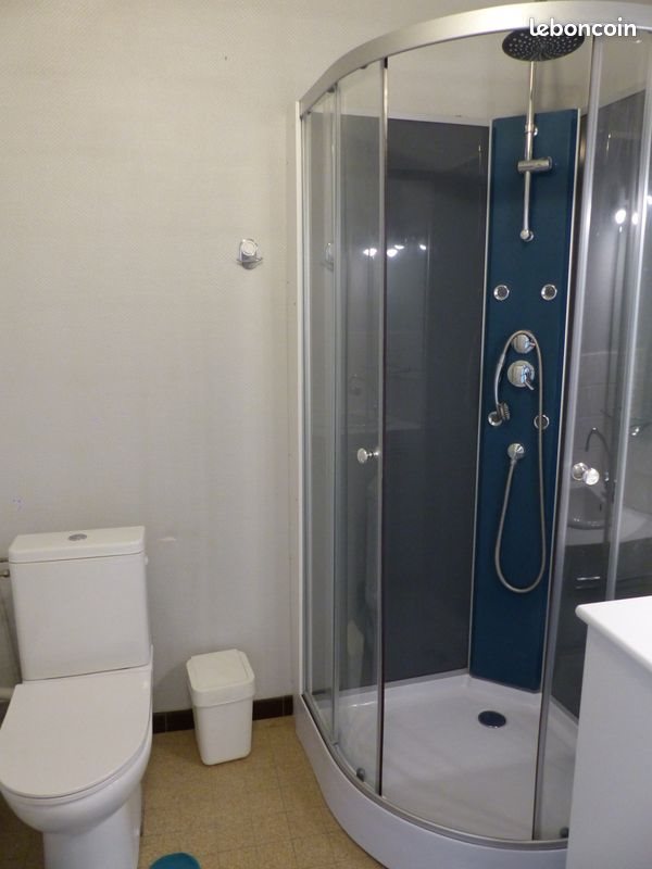 Appartement à louer, 29m², Saint-Etienne