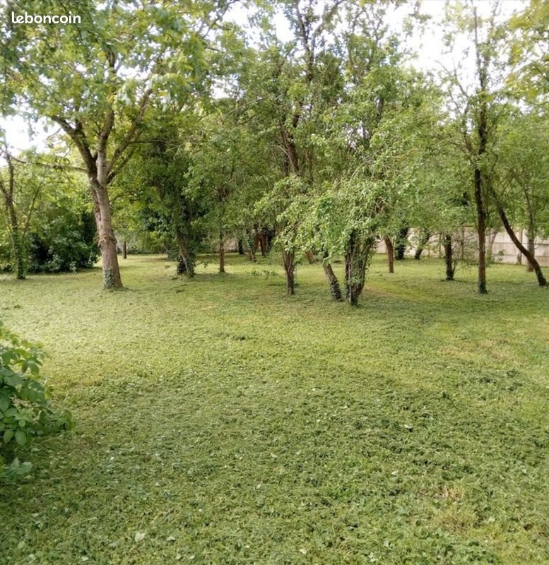 Appartement à louer, 47m², Terminiers