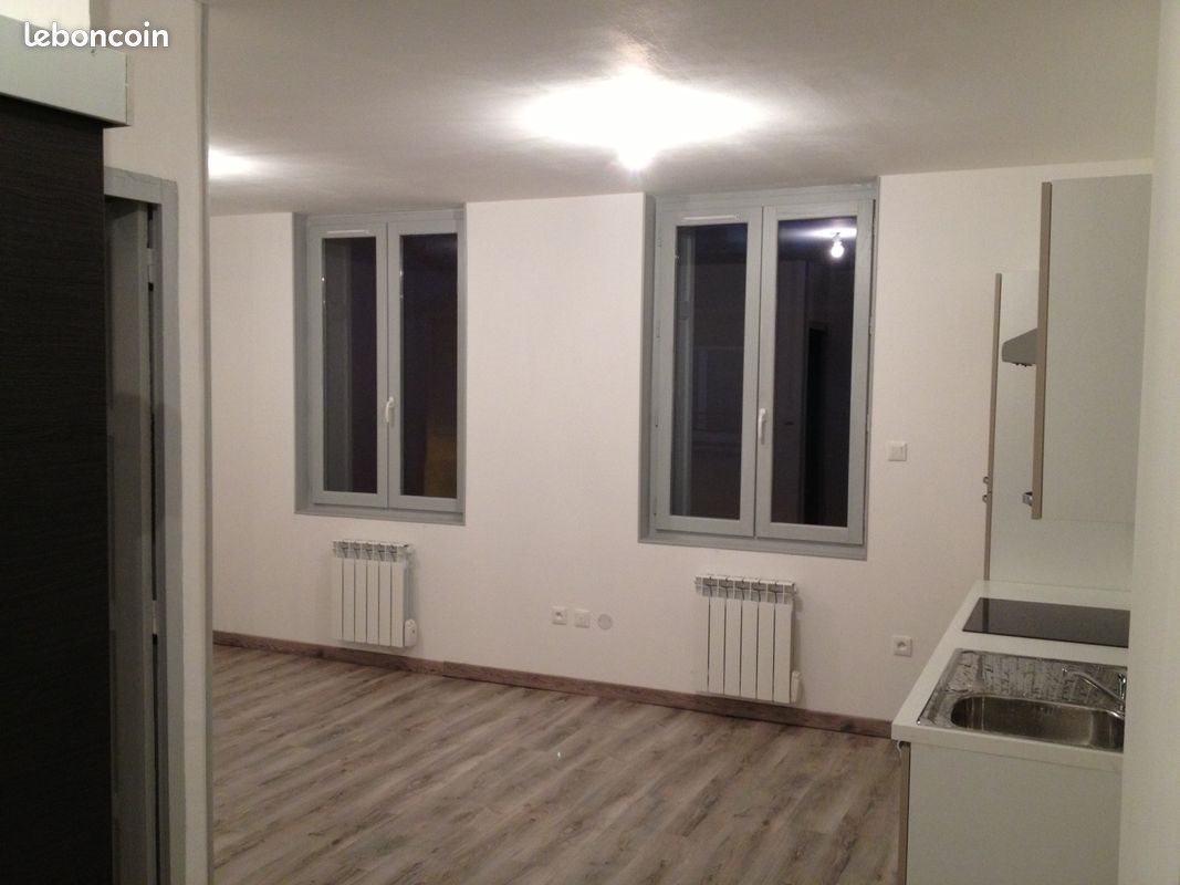 Appartement à louer, 33m², Saint-Etienne