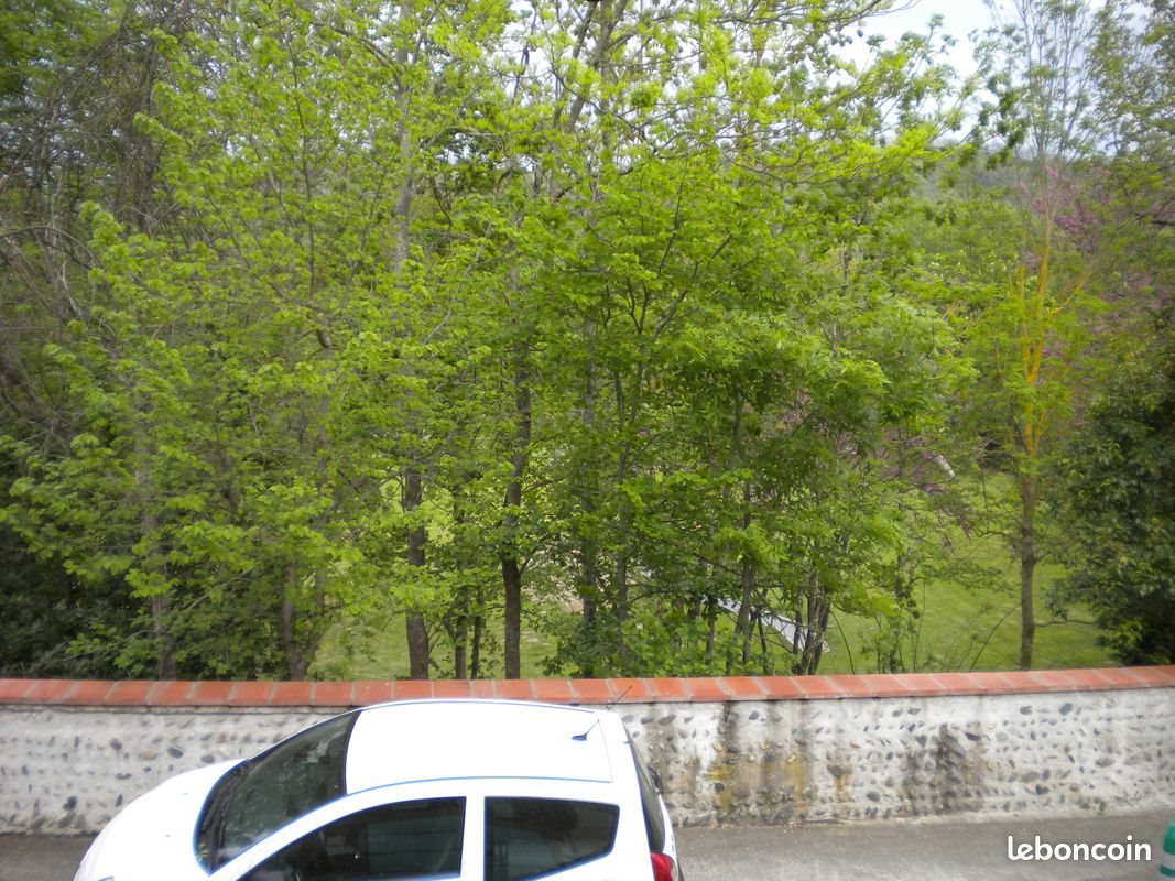 Appartement à louer, 75m², Noé