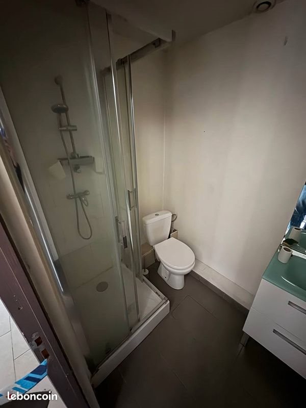 Appartement à louer, 43m², Lille