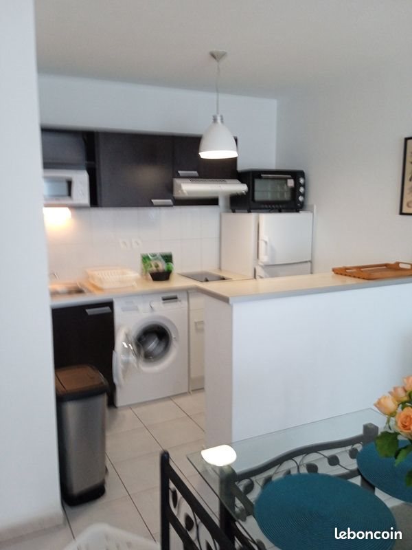 Appartement à louer, 43m², Pau