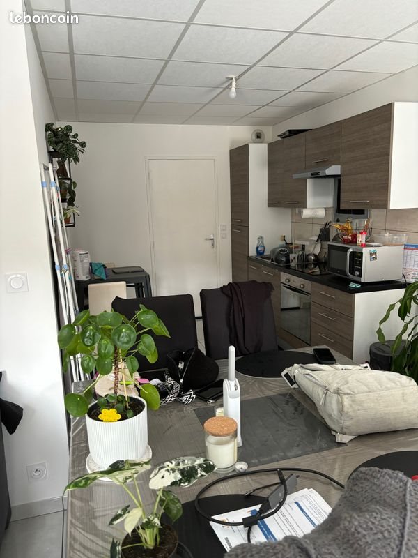 Appartement à louer, 47m², Hénanbihen