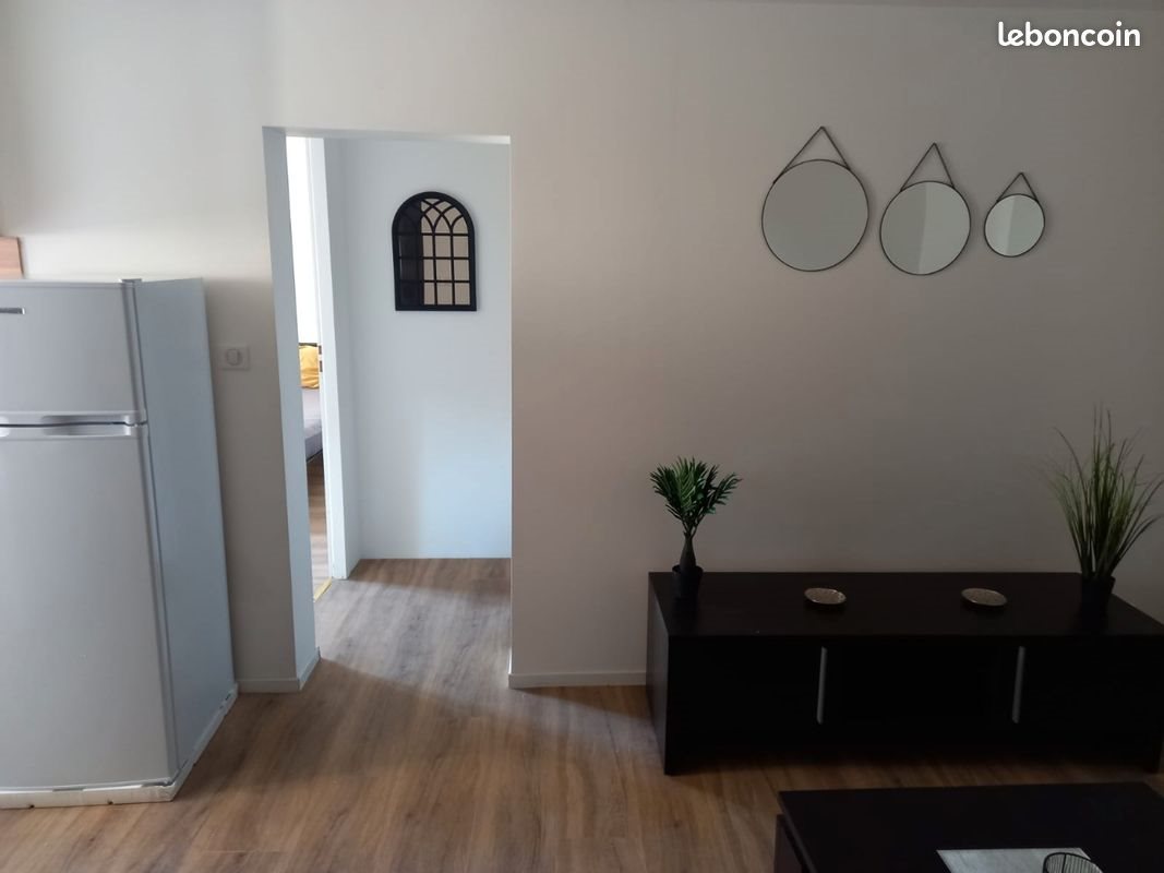 Appartement à louer, 50m², Thiers