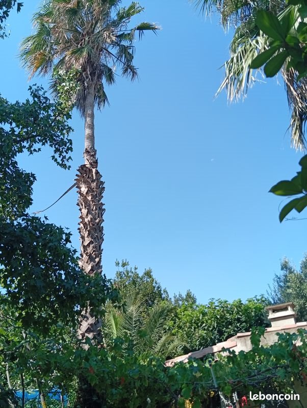 Maison à vendre, 150m², Perpignan