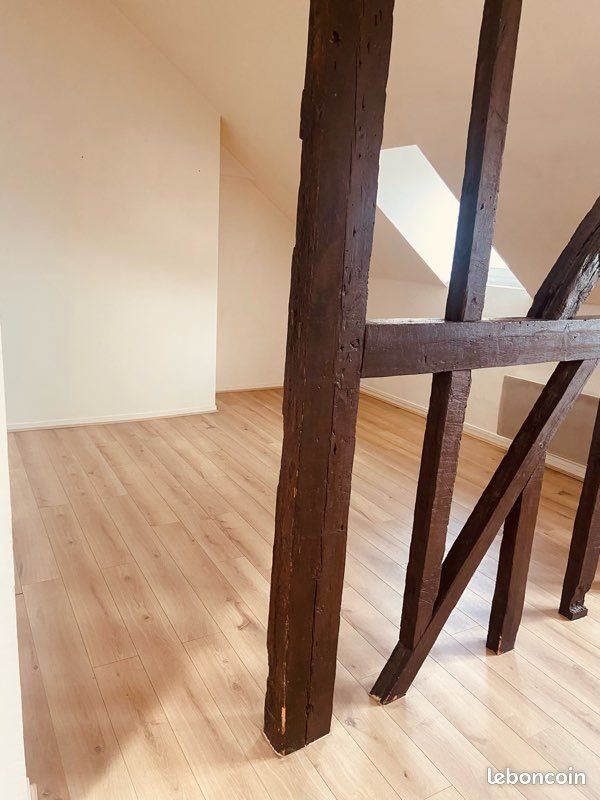 Appartement à louer, 49m², Rouen