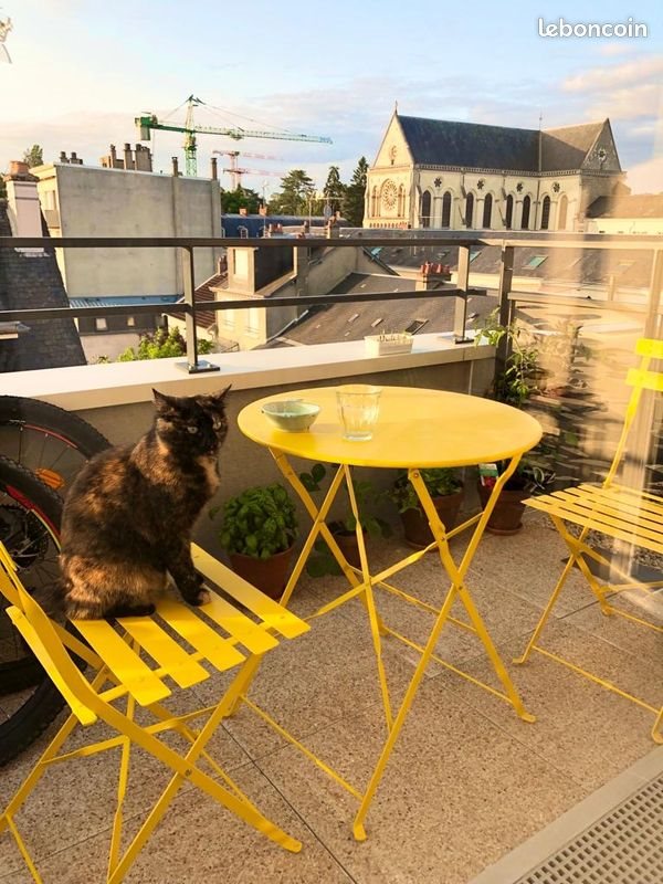 Appartement à louer, 46m², Le Mans