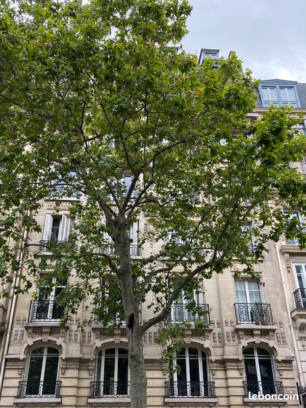 Appartement à louer, 9m², Paris 16ème