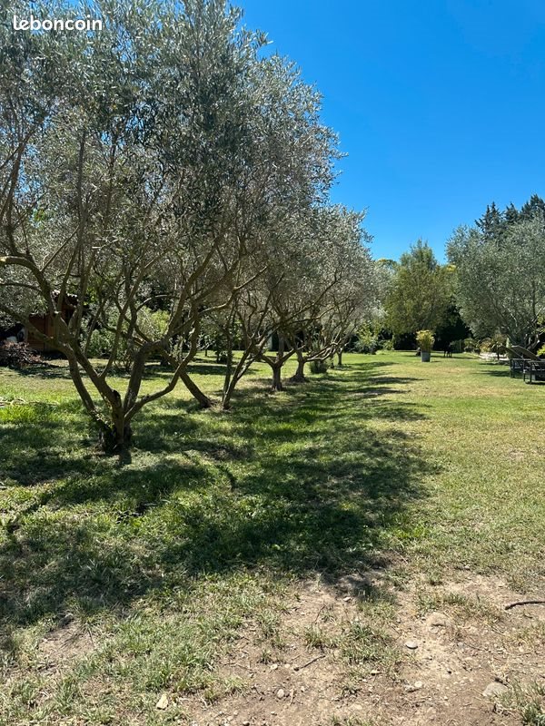 Maison à vendre, 153m², Salon-de-Provence