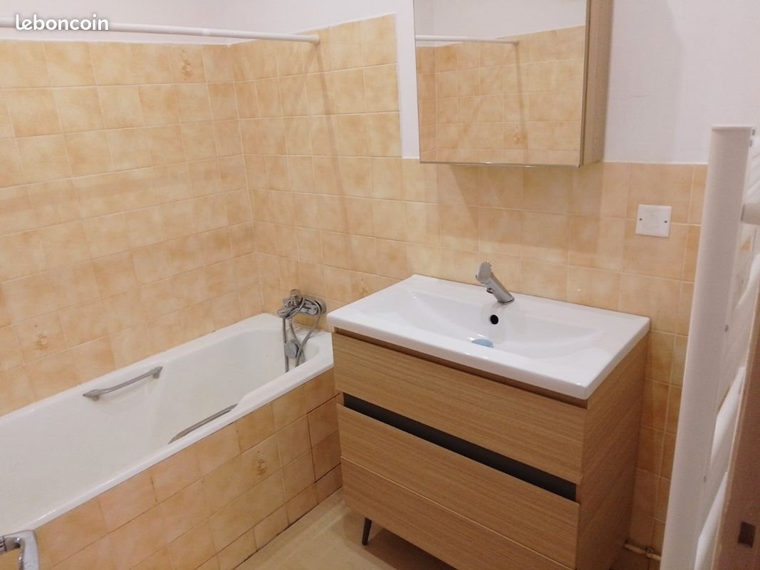 Appartement à louer, 48m², Saint-Sauveur-en-Puisaye