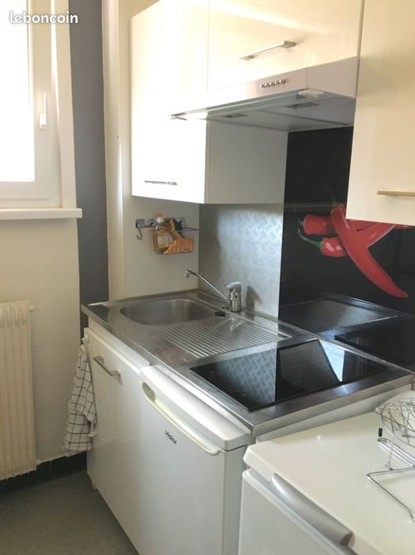 Appartement à louer, 23m², Colmar