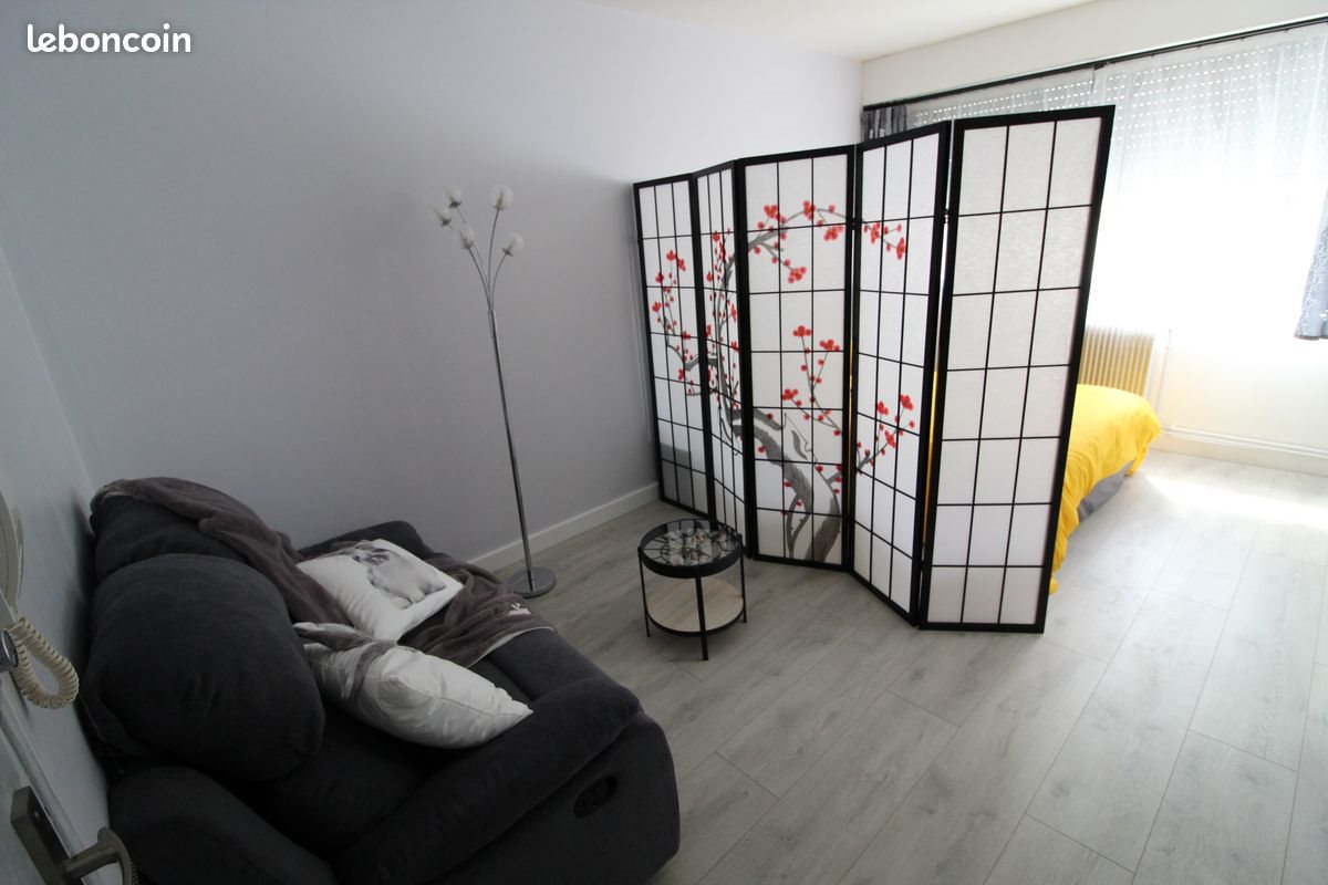 Appartement à louer, 28m², Nancy