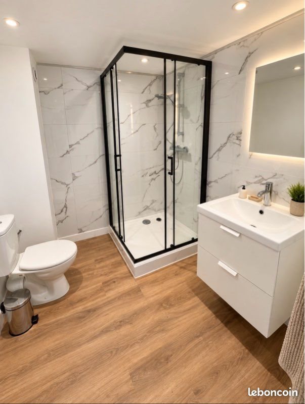 Appartement à louer, 48m², Thiers