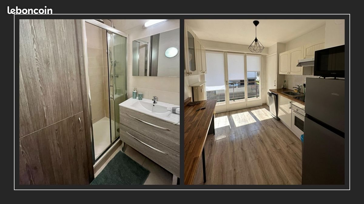 Appartement à louer, 49m², Annecy