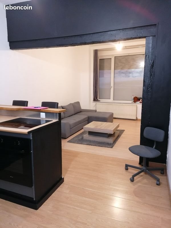 Appartement à vendre, 47m², Lille