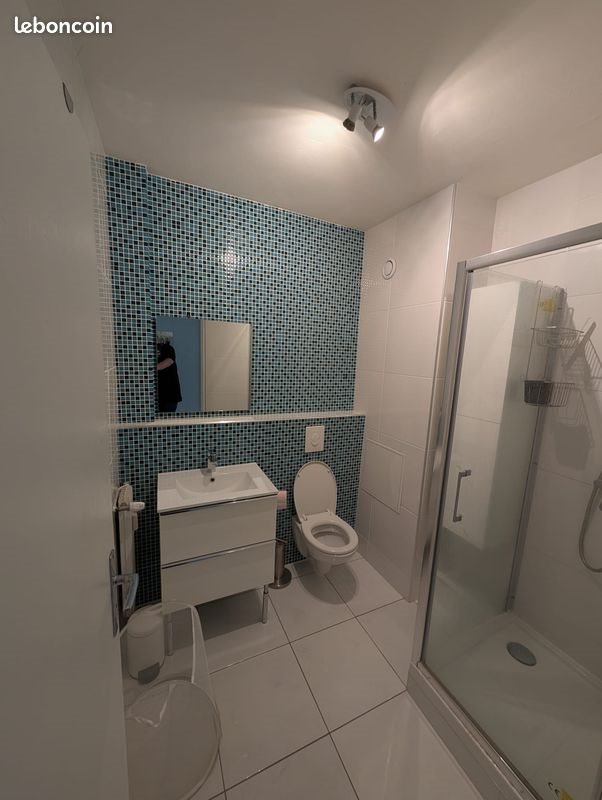 Appartement à louer, 32m², Nancy