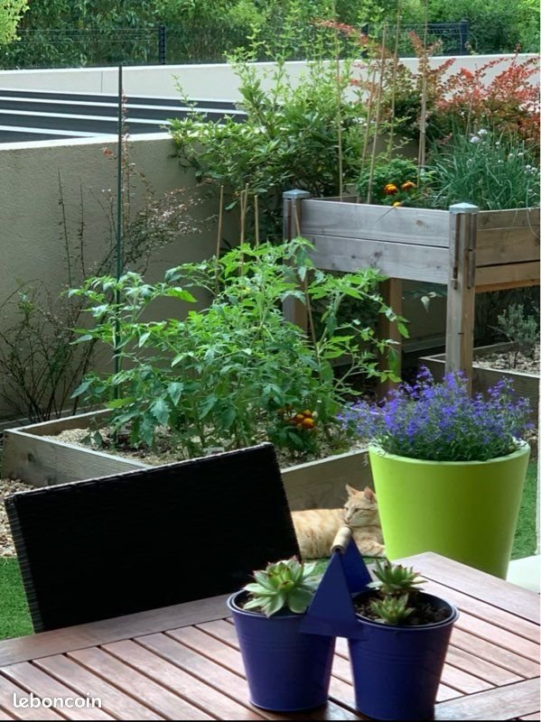 Appartement à louer, 55m², Aix-en-Provence