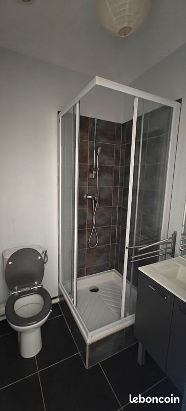 Appartement à louer, 24m², Saint-Etienne