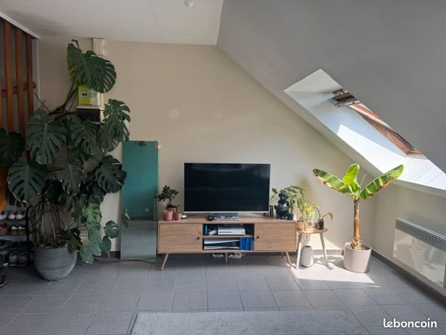 Appartement à louer, 50m², Saint-Amand-les-Eaux