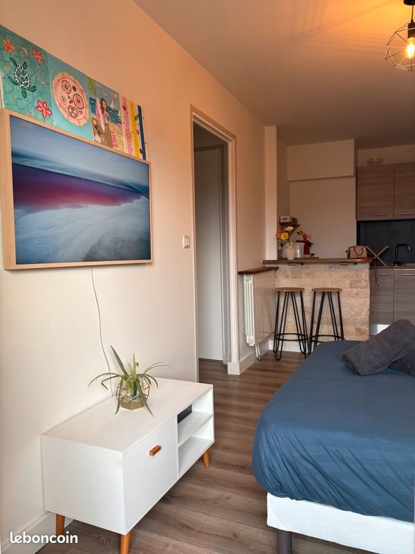 Appartement à louer, 26m², Le Cannet