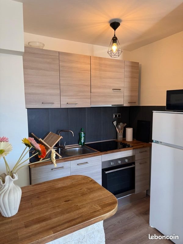 Appartement à louer, 26m², Le Cannet