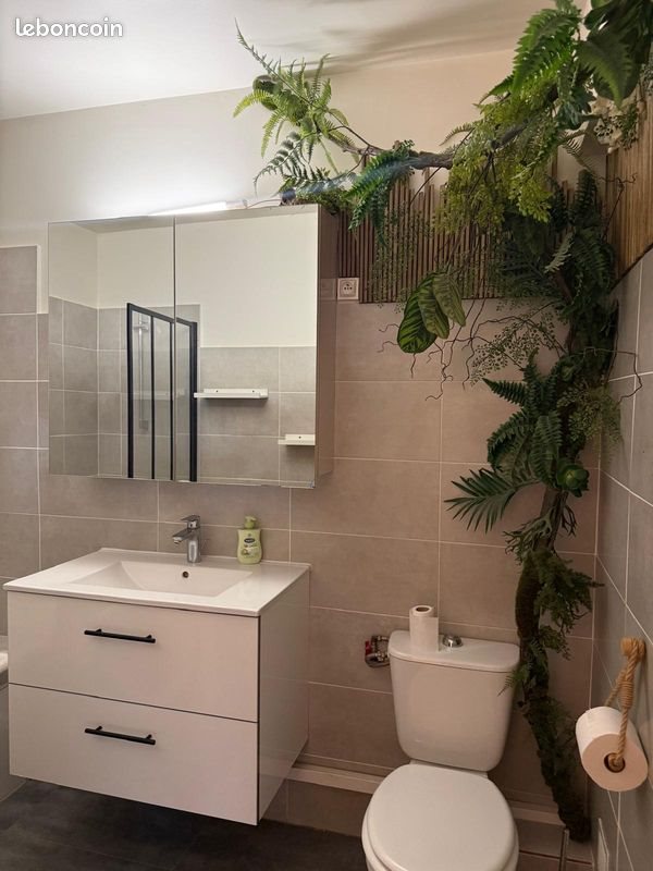 Appartement à louer, 26m², Le Cannet