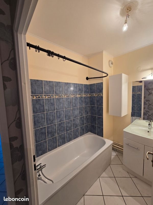 Appartement à louer, 50m², Lille