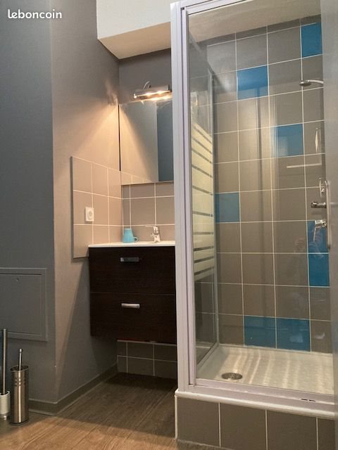 Appartement à louer, 19m², Limonest