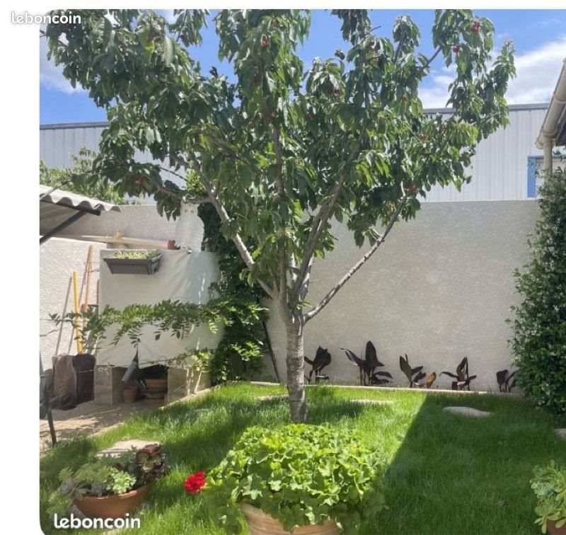 Maison à vendre, 246m², Céret