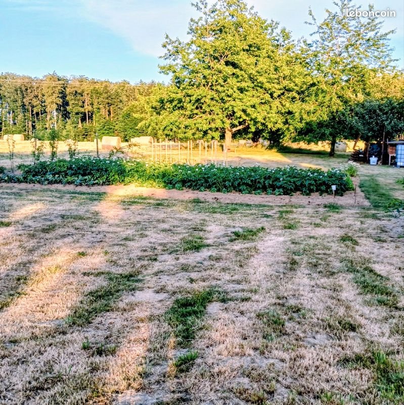 Maison à vendre, 91m², Fougerolles