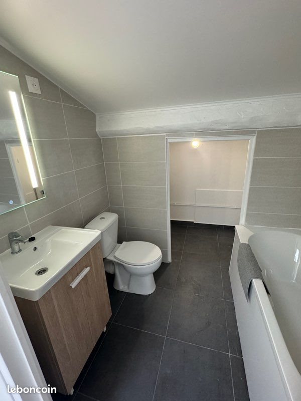 Appartement à louer, 25m², Saint-Etienne