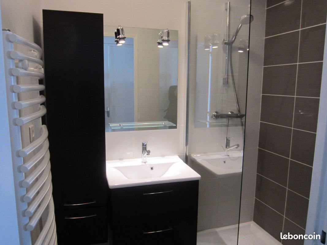 Appartement à louer, 55m², Saint-Étienne