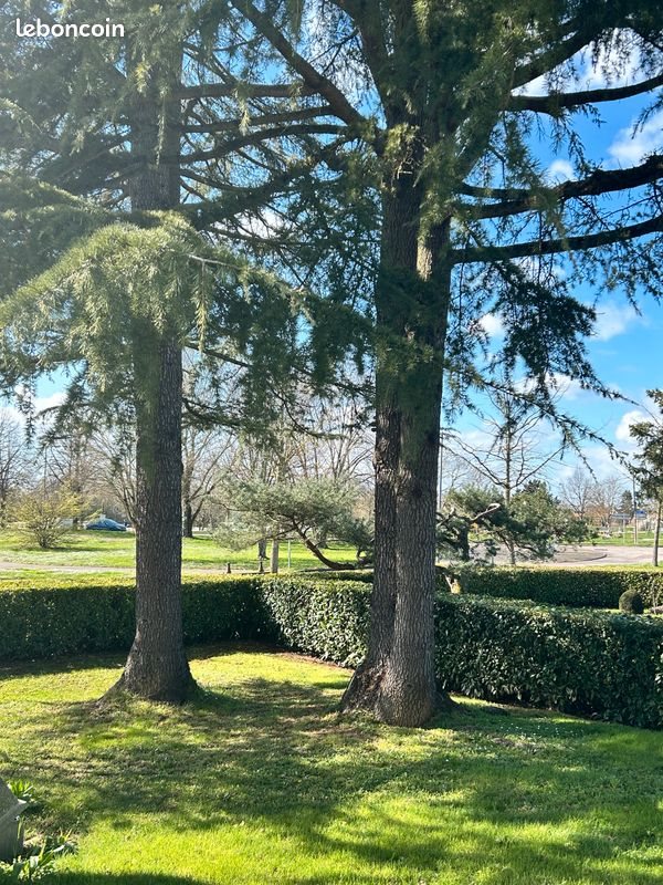 Maison à vendre, 102m², Saint-Usage