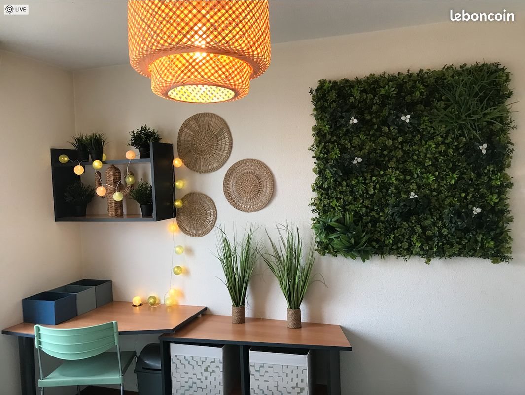 Appartement à louer, 18m², Saint-Etienne