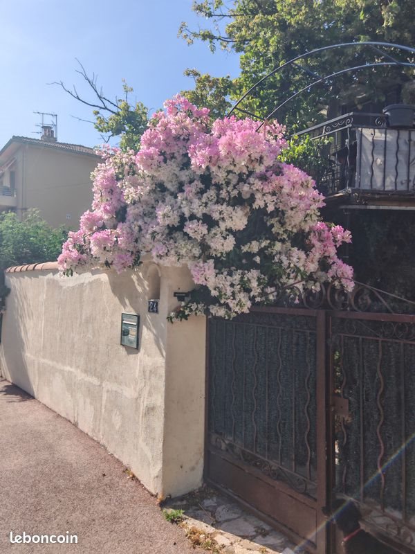 Appartement à louer, 281m², Toulon