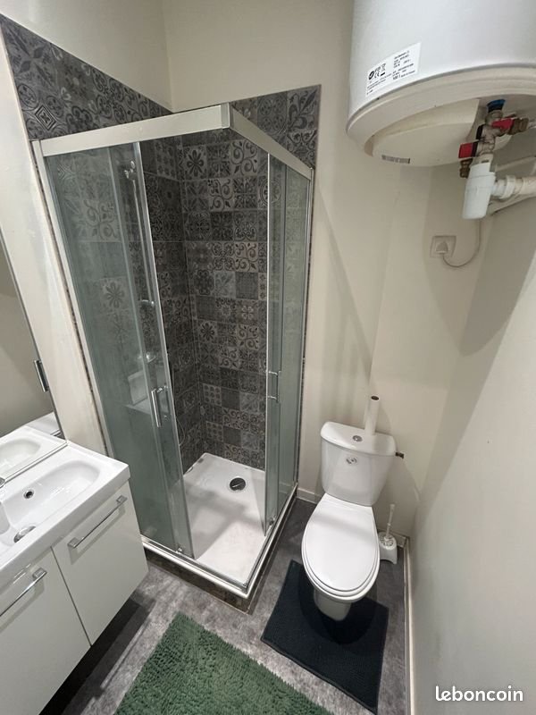Appartement à louer, 30m², Saint-Étienne