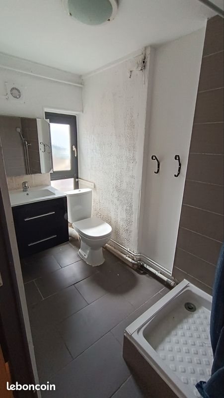 Appartement à louer, 53m², Roanne