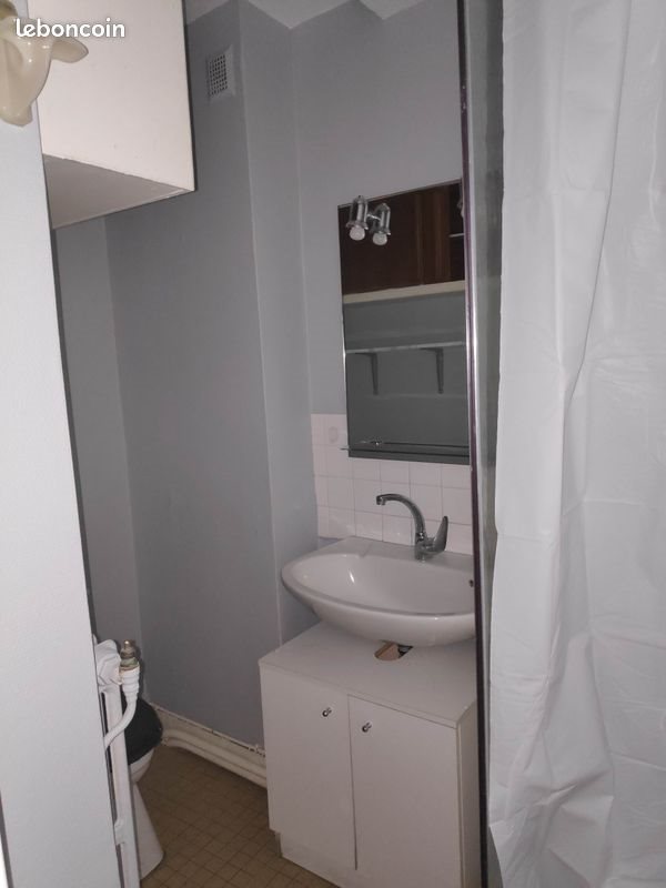Appartement à louer, 38m², Saint-Étienne