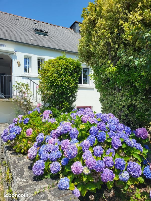 Maison à vendre, 100m², Riantec
