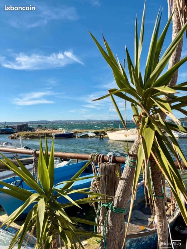 Appartement à louer, 36m², Sète
