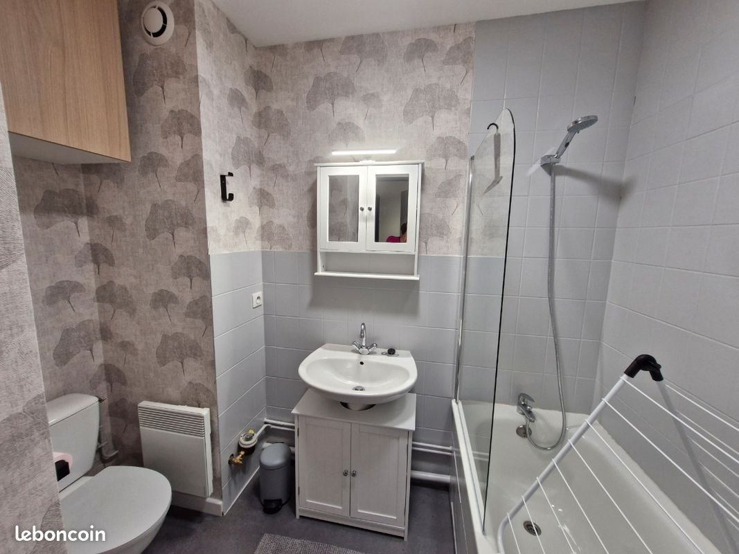 Appartement à louer, 18m², Nancy