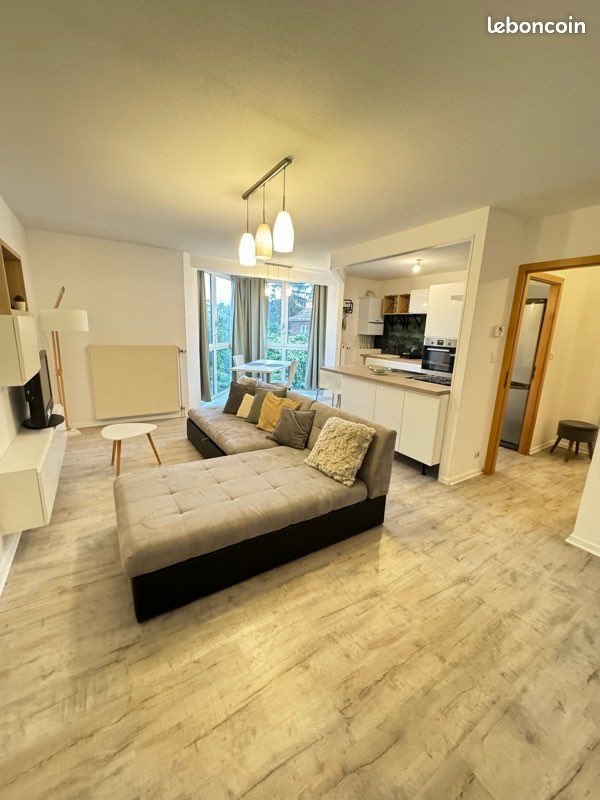 Appartement à louer, 49m², Colmar