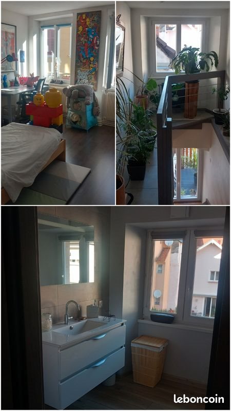 Appartement à vendre, 160m², Thann