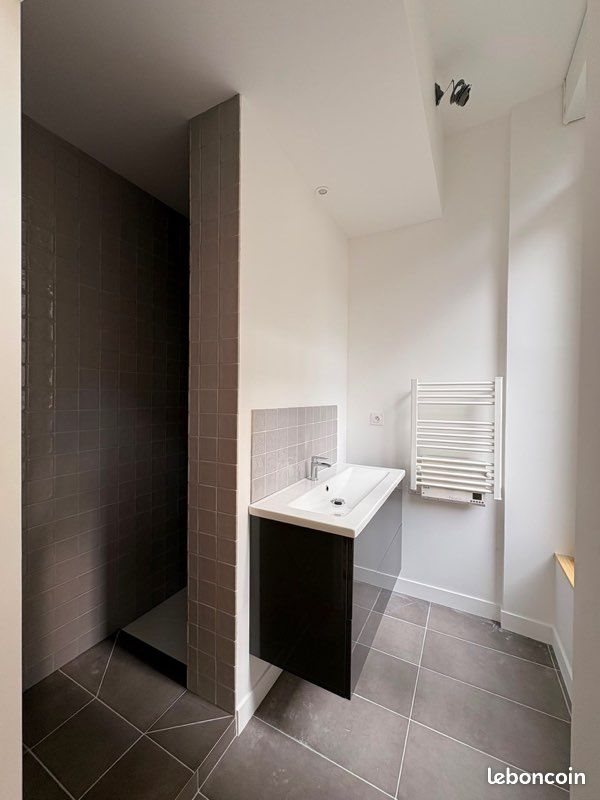 Appartement à louer, 42m², Saint-Étienne