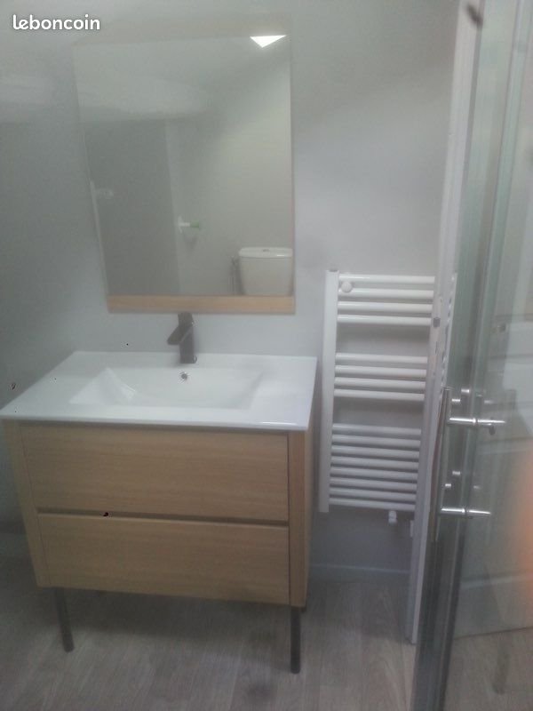 Appartement à louer, 38m², Saint-Étienne