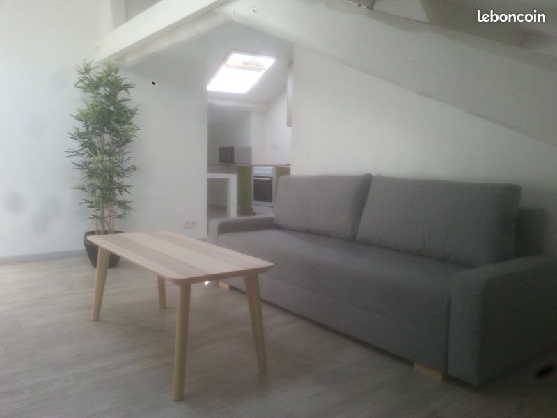 Appartement à louer, 38m², Saint-Étienne