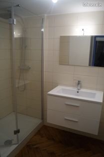 Appartement à louer, 48m², Tourcoing