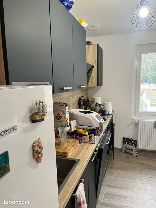 Appartement à louer, 60m², Scionzier